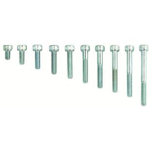 SCREWS ALLEN 6 x 10mm