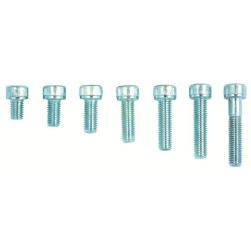 SCREWS ALLEN 8 x 60mm