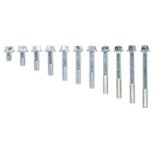 BOLTS FLANGE HI-TENSILE 6x10mm