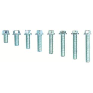BOLTS FLANGE 10mm HEAD 8x20mm