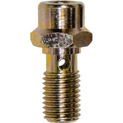 BOLTS BANJO M10 x 1.00 (5/CARD)