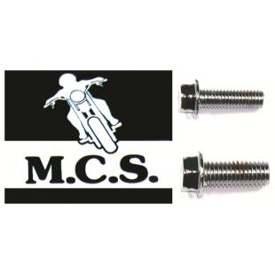 SCREWS S/COVER 6mmx20mm CH (10 bag)