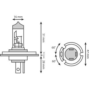 GLOBE 12V 60/55W H4 P45T EACH
