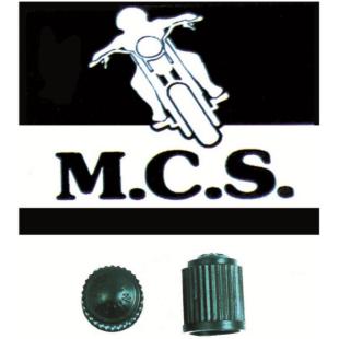 VALVE CAP PLASTIC (PK-100)