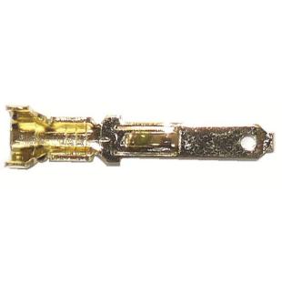 TERMINAL SPADE MALE SMALL